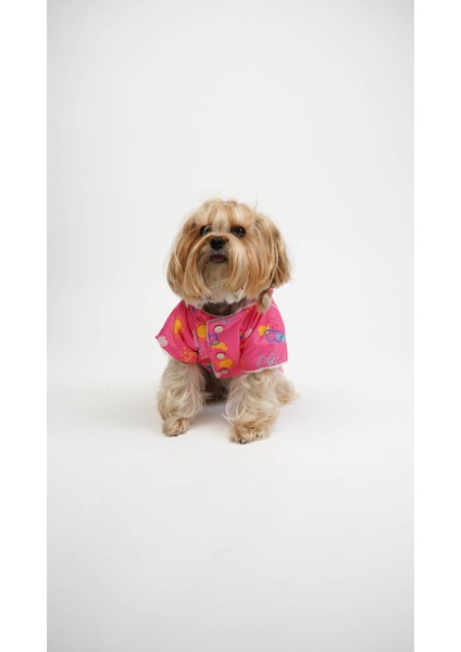 Kedi Köpek Mont Rainbow fiyatları