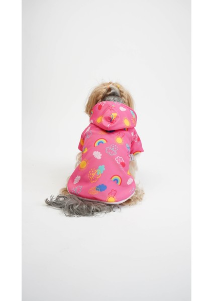 Kedi Köpek Mont Rainbow modelleri