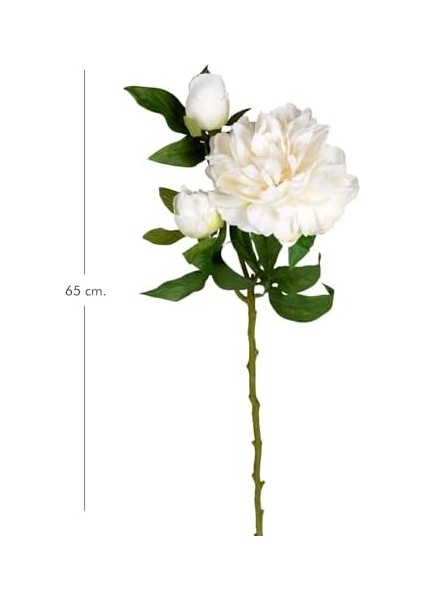 Şakayık Beyaz 65 Cm. fiyatları