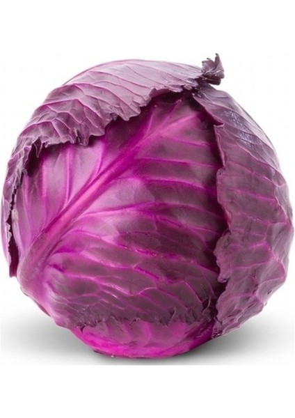 50 Adet Tohum Nadir Organik Kırmızı Lahana Tohumu Turşuluk Kışlık Lahana Tohumu Hediye Tohumlu