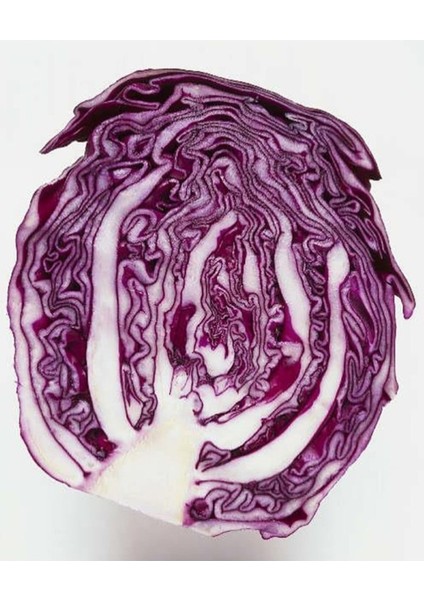 50 Adet Tohum Nadir Organik Kırmızı Lahana Tohumu Turşuluk Kışlık Lahana Tohumu Hediye Tohumlu fiyatları