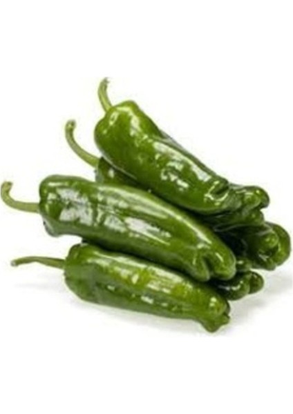 50 Adet Tohum Organik Taze Hasat Mazamart Tatlı Köy Biber Tohumu Saksı Toprak Hediyeli fiyatları