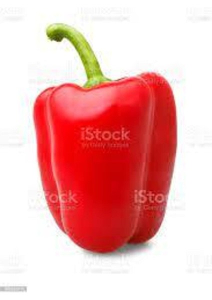 50 Adet Tohum Nadir Kırmızı Dolmalık Biber Tohumu Saksı Toprak Sürpriz Hediye Tohumlu modelleri