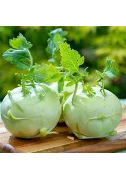 100 Adet Tohum Organik Yeni Sezon Süper Paket Alabaş Turp Tohumu Sürpriz Hediye Tohum