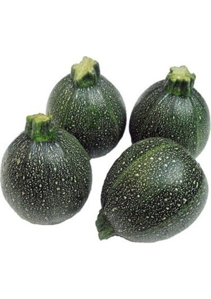 20 Adet Tohum Organik Bahçe Yeni Sezon Taze Topak Kabak Doğal Tohum Kaliteli Yerli Yeni Mahsul Kabak