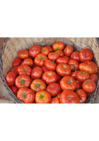 50 Adet Tohum Orjinal Köy Domatesi Tohumu Yerli Tabak Köy Domates Tohumu fiyatları