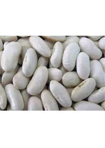 300 Adet Tohum Şeker Beyaz Fasulye Tohumu Organik Çabuk Pişen Organik Fasulye Hediye Tohumludur fiyatları