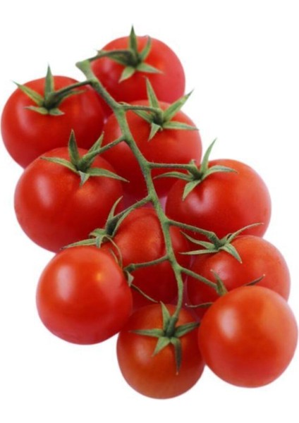Nadir İthal Pinpon Domates Tohumu 15 Adet Tohum fırsatları