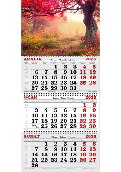 2026 Yılı Gemici Takvimi- Ormanda Sonbahar