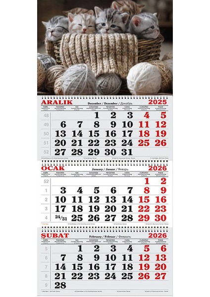 2026 Yılı Gemici Takvimi-Minnoş Kediler