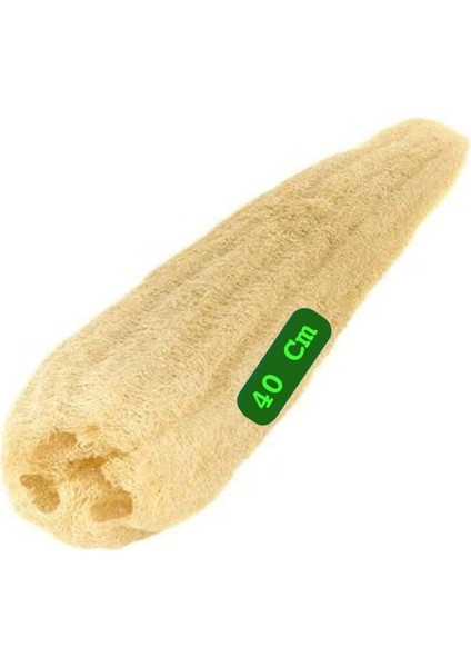 Hatay Yöresel Doğal Ham Kabak Lif Hamam Lifi 40 cm