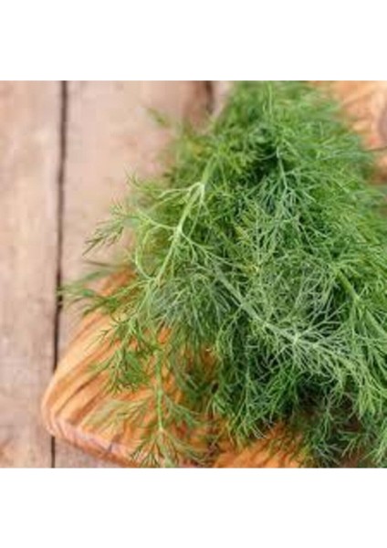 75 Adet Tohum Sebze Dere Otu Tohum Sürpriz Hediye Tohum Yeşil Dere Otu