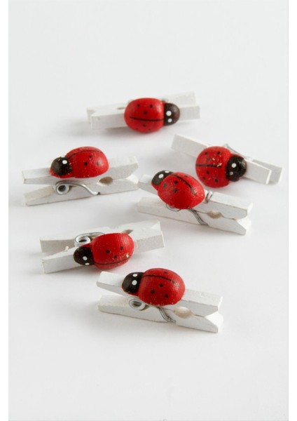 1 Adet Uğur Böceği Süs Mandal