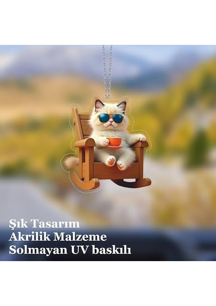 Ayna Süsü Keyifli Kedi, Pleksi Malzeme, Uv Baskılı 008 fiyatları