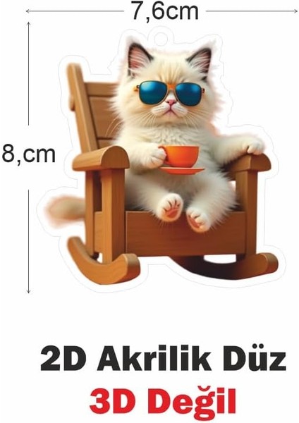Ayna Süsü Keyifli Kedi, Pleksi Malzeme, Uv Baskılı 008 modelleri