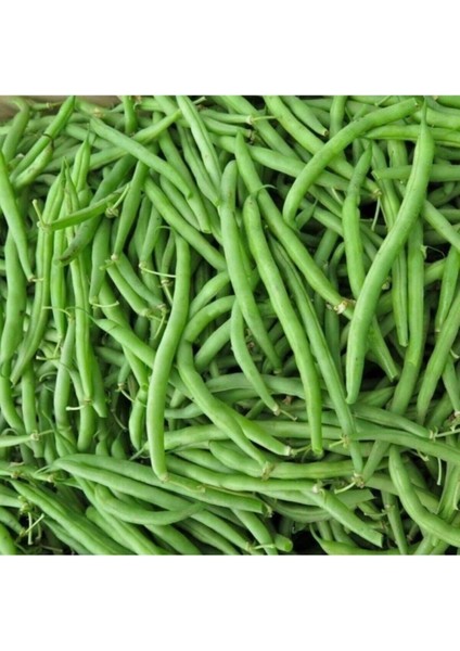 Eymen Oturak Erkenci Fasulye Tohumu Eymen Fasulye Tohumu 20 Adet Tohum modelleri