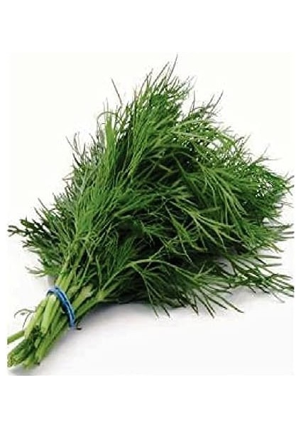 Tarım Ata Tohumu Yerli Yeşillik Sebzeler 6000 Adet Tohum Ekonomik Paket fırsatları