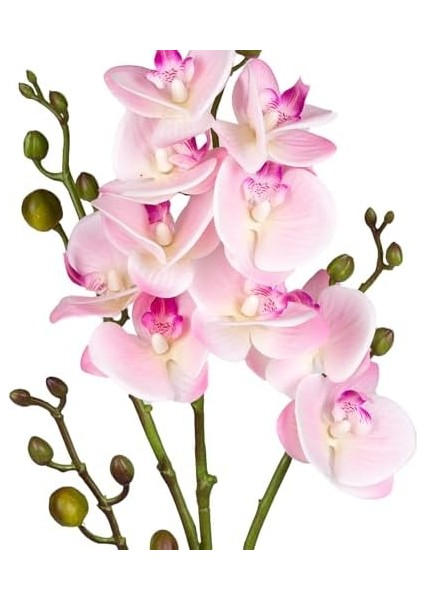 Yapay Orkide Gerçek Dokulu Pembe 80 Cm. fiyatları
