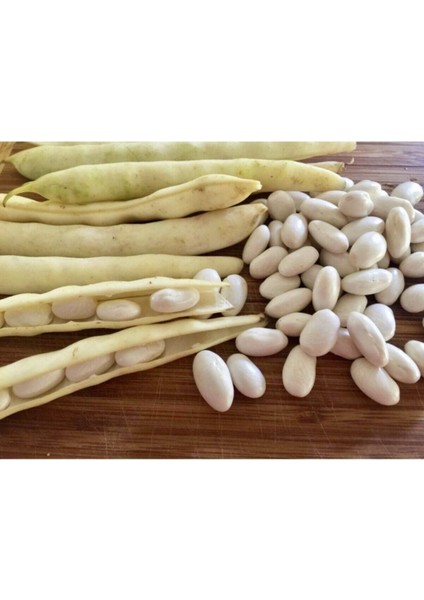 Beyaz Fasulye Tohumu Kuru Fasulye Tohumu 50 Adet Tohum modelleri