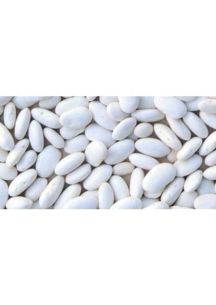 Beyaz Fasulye Tohumu Kuru Fasulye Tohumu 50 Adet Tohum fırsatları
