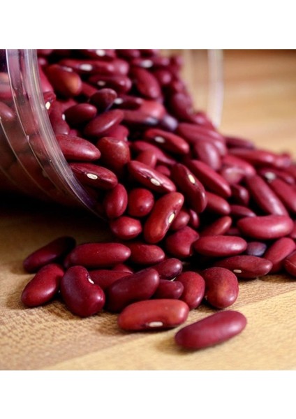 500 Adet Tohum Organik Bahçe Kırmızı Fasulye Fasülye Tohumu Yeni Hasat