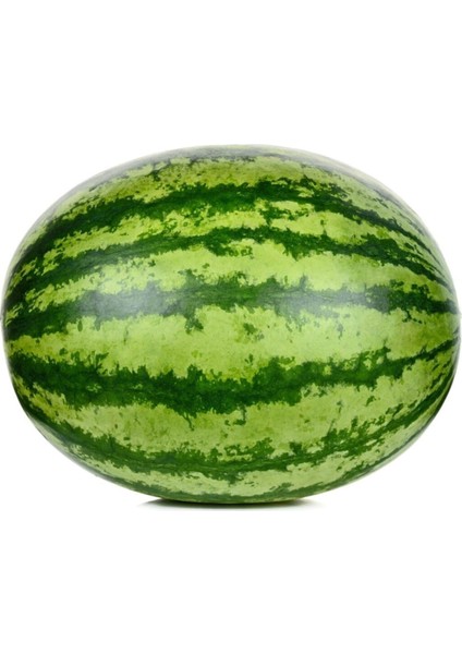 Meşhur Diyarbakır Karpuzu Tohumu Karpuz Tohumu 5 Adet Tohumu