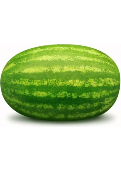Meşhur Diyarbakır Karpuzu Tohumu Karpuz Tohumu 5 Adet Tohumu modelleri