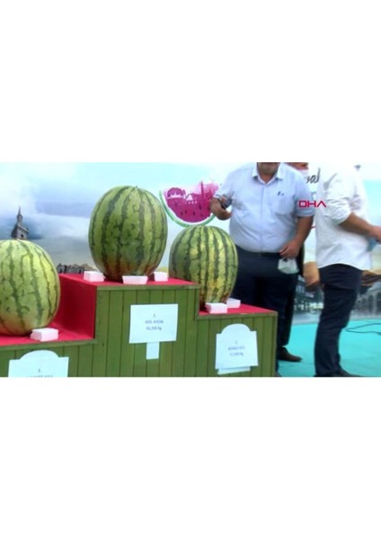 Meşhur Diyarbakır Karpuzu Tohumu Karpuz Tohumu 5 Adet Tohumu fırsatları