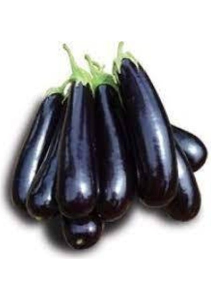 20 Adet Tohum Kemer Palıcan Tohumu Yerli Tohum Kemer Patlıcanı Tohumu