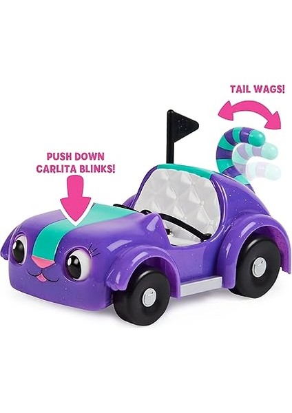 Dollhouse - Carlita ve Pandy Paws Piknik modelleri