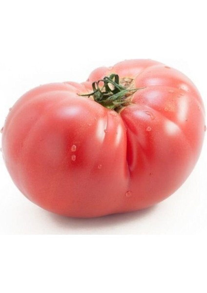Pembe Domates Tohumu Nadir Geleneksel İri Pembe Domates Tohumu 15 Adet Tohum