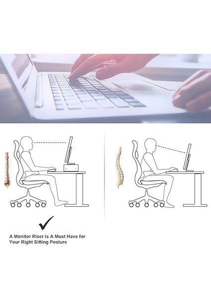 Sally Monitör Yükseltlci Ceviz Raf fırsatları