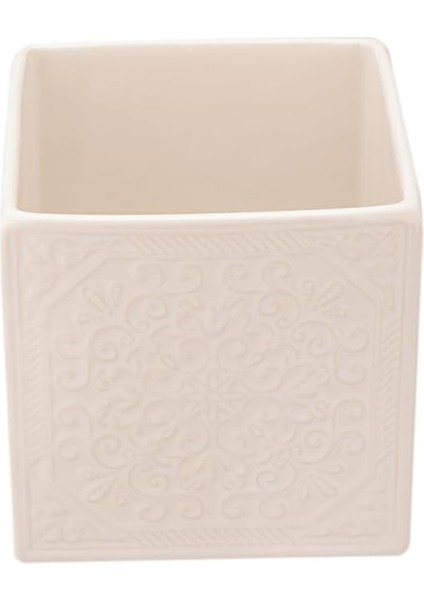 Koast Diş Fırçalık fiyatları