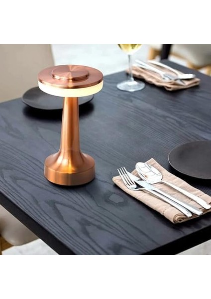 Taşınabilir Şarjlı Masa Lambası Dimmerli Dekoratif Dokunmatik Sunum Lambası 3 Işık fiyatları