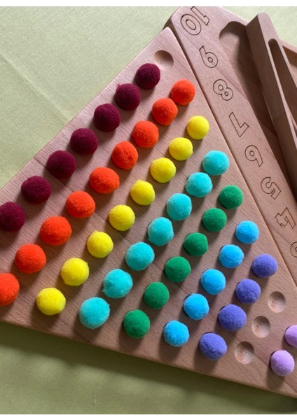 Eğitici Oyuncak Montessori Ahşap Sayı ve Renk Eşleştirme Oyunu fiyatları