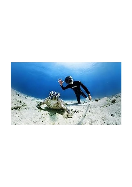 X3 Invisible Dive Case fırsatları