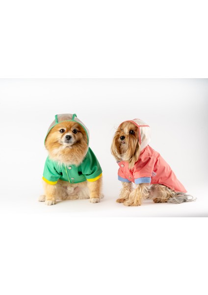 Köpek Kedi Şeffaf Yağmurluk