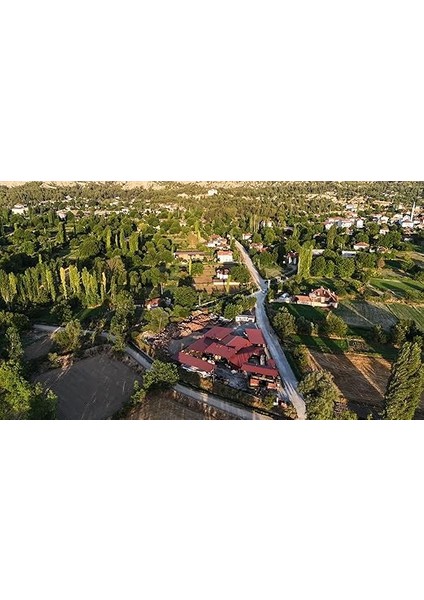 Odun Sirkesi 20 Litre modelleri