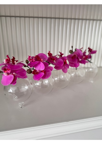 Tırtıl Vazo Üfleme Cam 5 Li