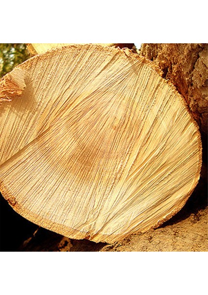 104 Adet Dıy El Sanatları Için Ahşap Alfabe Harfleri Ev Duvar Dekoru Için 3D Harfler (Yurt Dışından) fiyatları