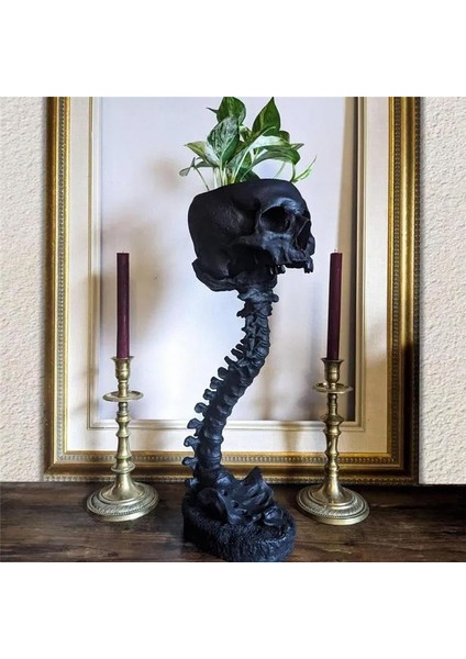 Reçine Kafatası Saksı ve Omurga Standı Seti, Poli Reçine Kafatasları Saksı, Cadılar Bayramı Dekorasyonu Retro Insan Kafatası Başı Çiçek, Siyah (Yurt Dışından) fırsatları
