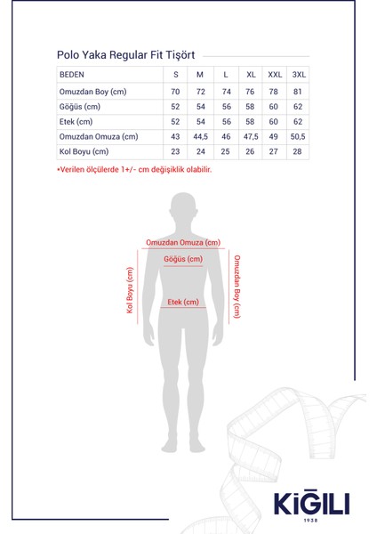 Cepli Polo Yaka Regular Fit Nakışlı Pamuk Tişört