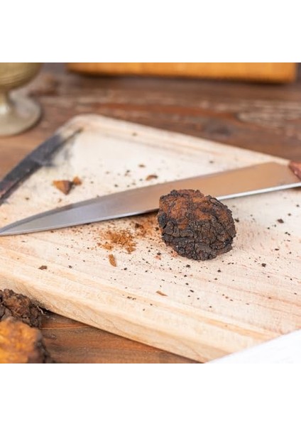 Chaga Mantarı 50 gr fiyatları