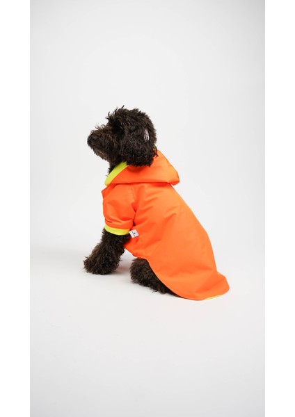 Köpek Kedi Yağmurluk Aurora fiyatları