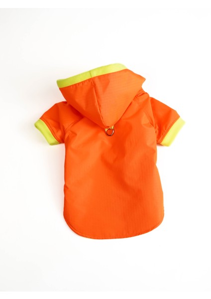 Köpek Kedi Yağmurluk Aurora modelleri