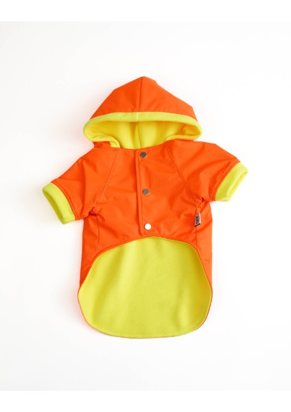 Köpek Kedi Yağmurluk Aurora fırsatları