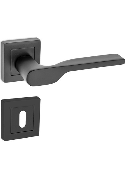 Kapı Kolu Max Firuze Matsiyah Kare Rozetli Oda