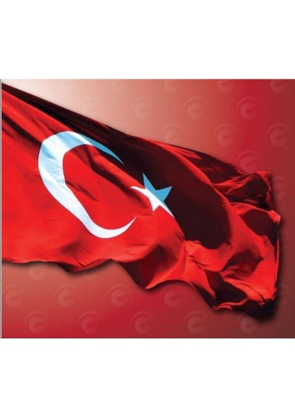 Bayrağı Alpaka Kumaş 400X600 cm