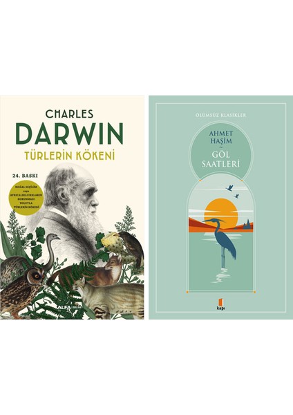 Türlerin Kökeni + Göl Saatleri