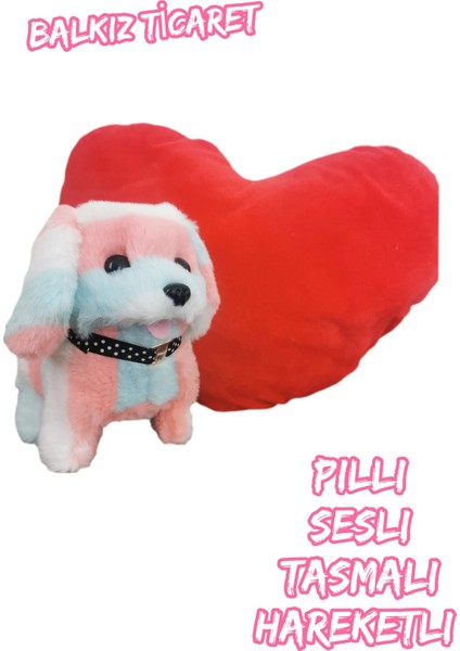 Renkli Pilli Oyuncak Köpek